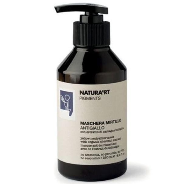 Rica Natura'rt Pigments Maschera Pigmentata 250ML Mirtillo